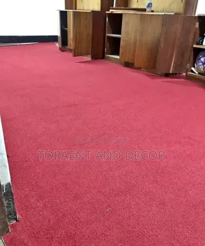 Elegant Plush Wall to Wall Carpeting Solution