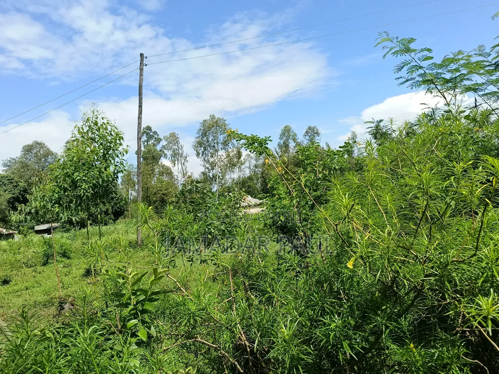 Land for Sale in Ojolla