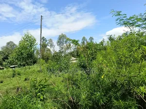 Land for Sale in Ojolla