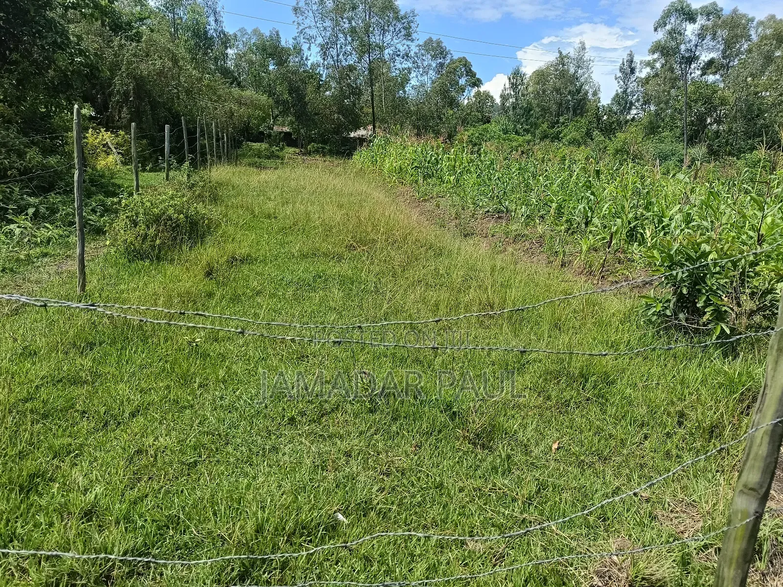 Land for Sale in Ojolla