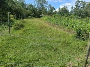 Land for Sale in Ojolla
