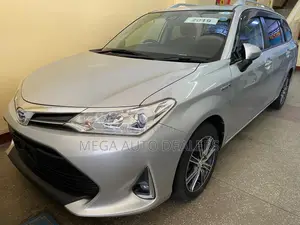 Toyota Corolla Fielder 2019 Silver