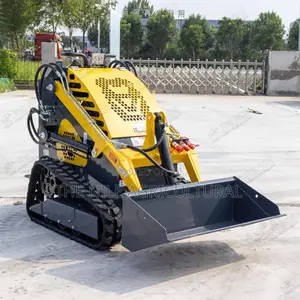 Compact Multi-Purpose Loader, Equipped With Various Attachments