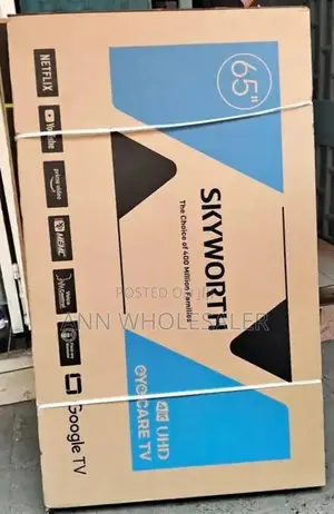Skyworth 65 Inch Television