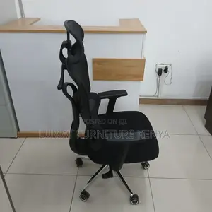 Executive Mesh Orthopedic Seat