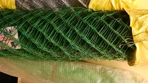 Color Coated Chainlink / PVC Coated Chainlinks 5ft