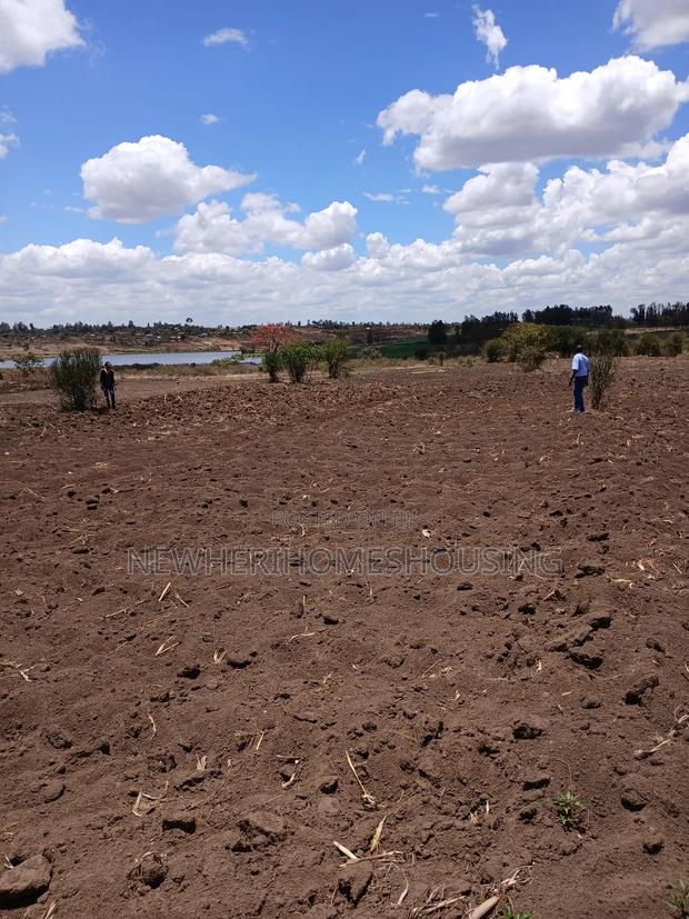 1/8 Acre Plots for Sell in Thika, Kabati - thumbnail 3