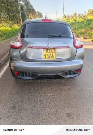 Nissan Juke 2015 Gray
