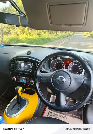 Nissan Juke 2015 Gray