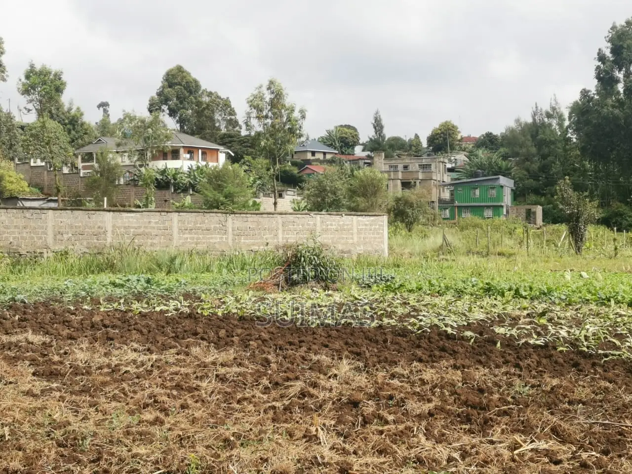 50x100 Plots for Sale in Muguga