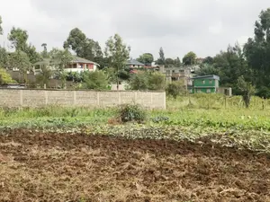 50x100 Plots for Sale in Muguga