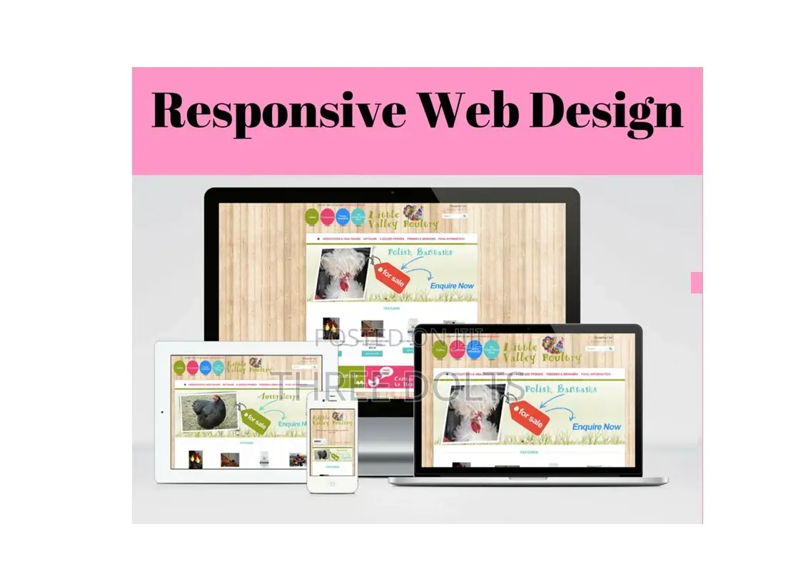 Website Design Services. Get a Modern Design on Your Web.