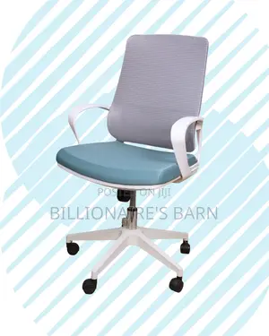 Ergonomic — Chair Stable Quiet-Roll | Top Seller in Kenya