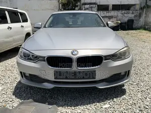 BMW 320i Sedan RWD 2010 Silver