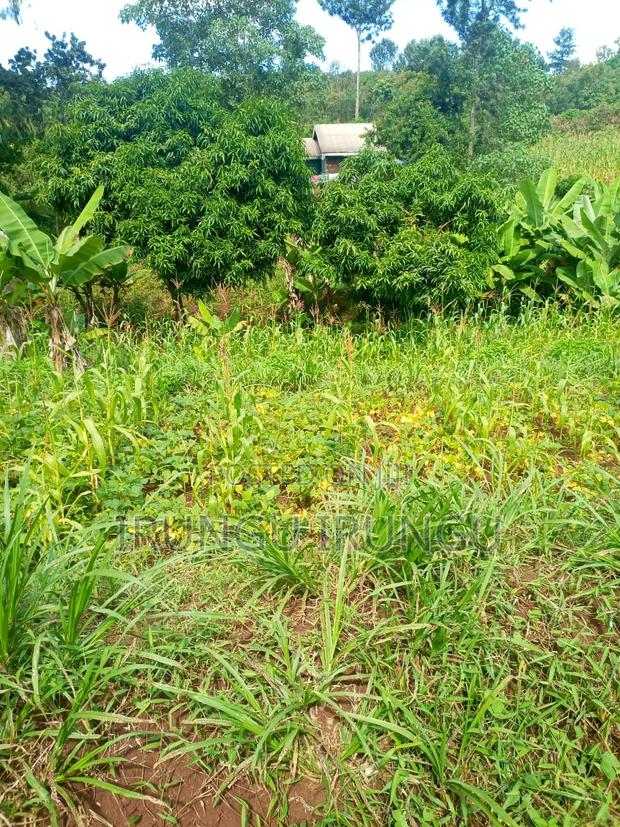 0.5 Acrea With Permanent 2 Bedroom Thangira Kenol - thumbnail 2