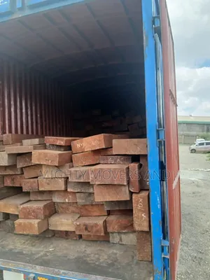 Trucks for Transport and Logistics Services Are Readily Available