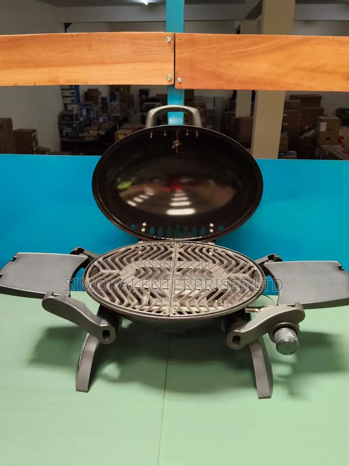 Deluxe Portable Gas Barbecue