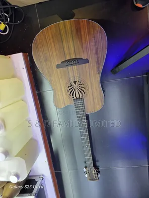 Sqoe Semi-Acoustic Guitar