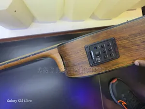 Sqoe Semi-Acoustic Guitar