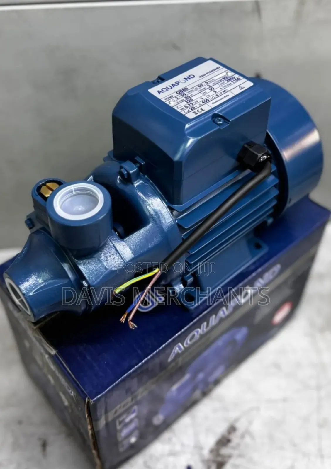 Aquapond 1hp Booster Pump
