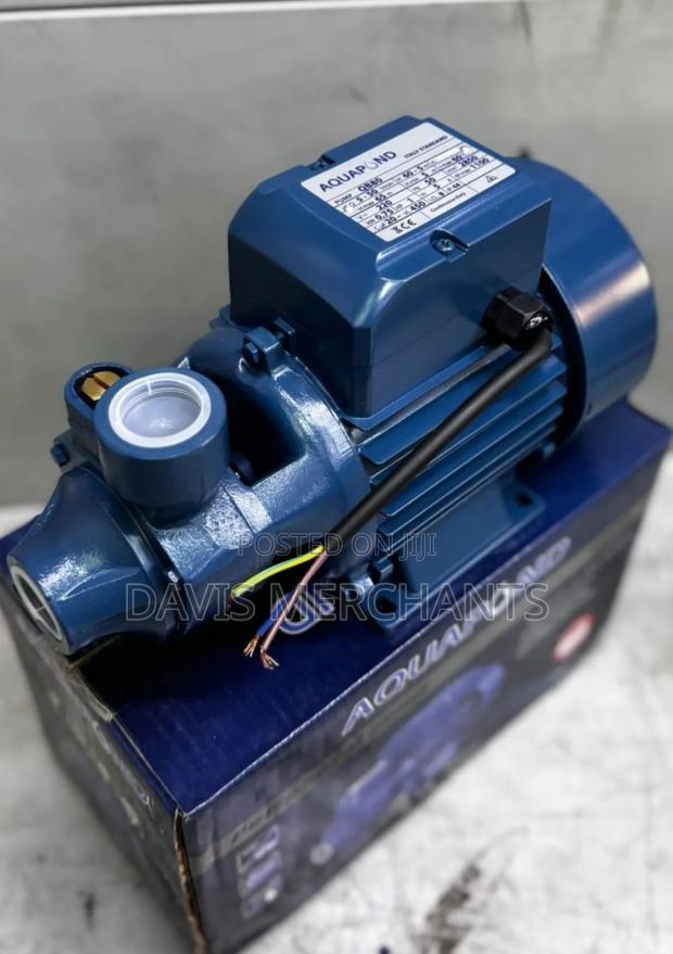 Aquapond 1hp Booster Pump - main view