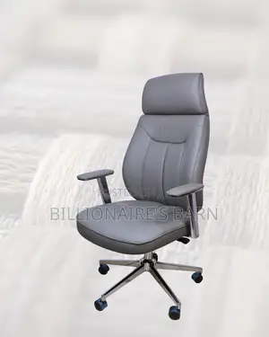 Durable Executive Chair Ergonomic | Same-Day Delivery Available