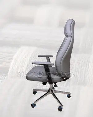 Durable Executive Chair Ergonomic | Same-Day Delivery Available