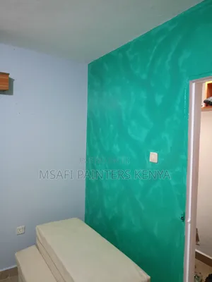 Painting Services in South B