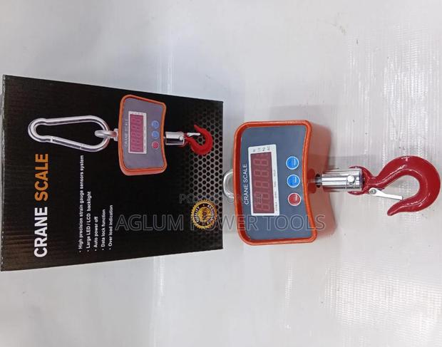 Crane Scale 500kgs - main view