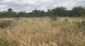 Masinga Plot for Saleland 50/100