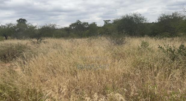 Masinga Plot for Saleland 50/100 - main view