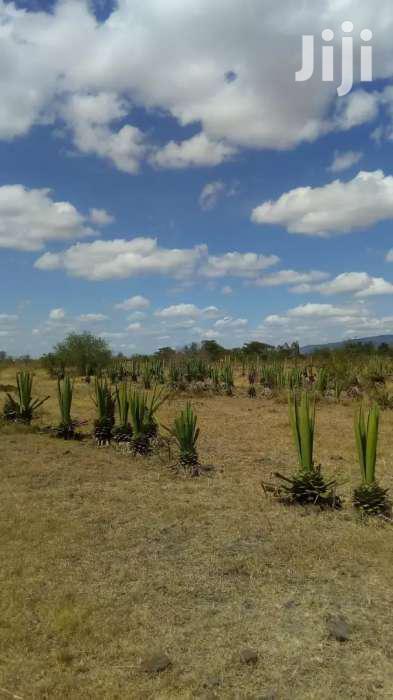 100 Acres for Sale in Juja Farm Mastores 6km From Tarmac.