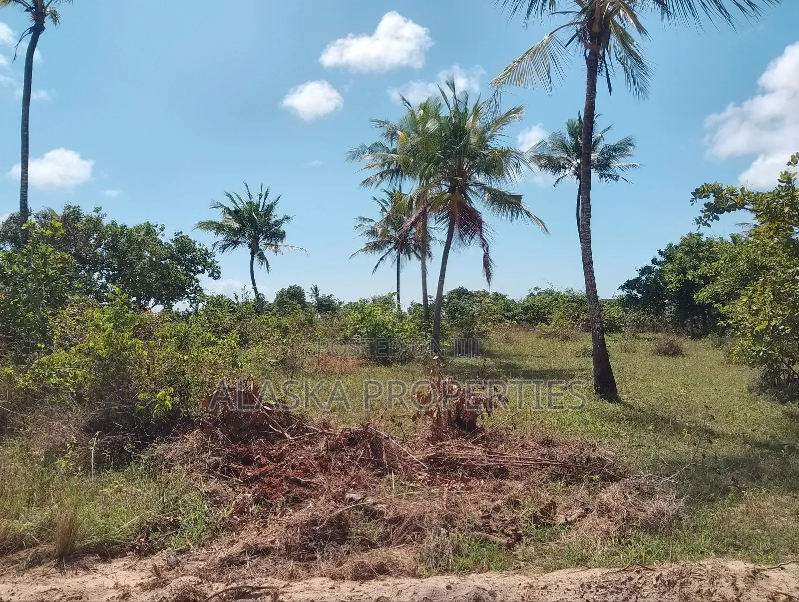 1/8 Prime Commercial Plot for Sale at Dongo Kundu Bypass