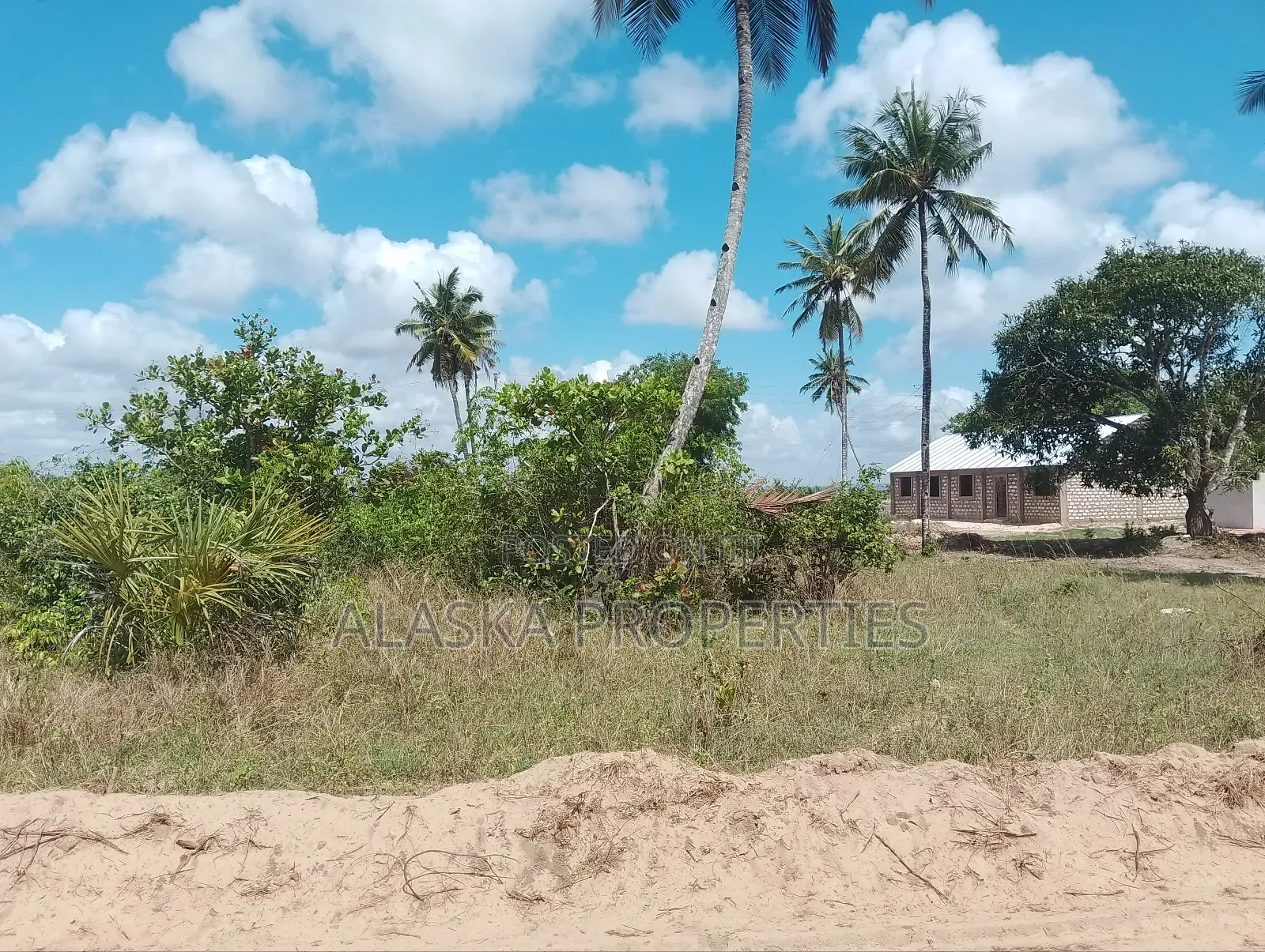 1/8 Prime Commercial Plot for Sale at Dongo Kundu Bypass