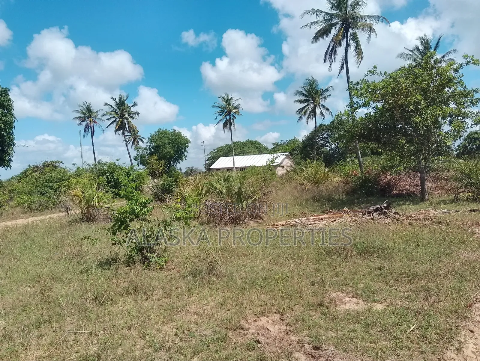 1/8 Prime Commercial Plot for Sale at Dongo Kundu Bypass