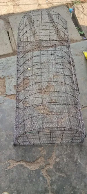Chicken Cages