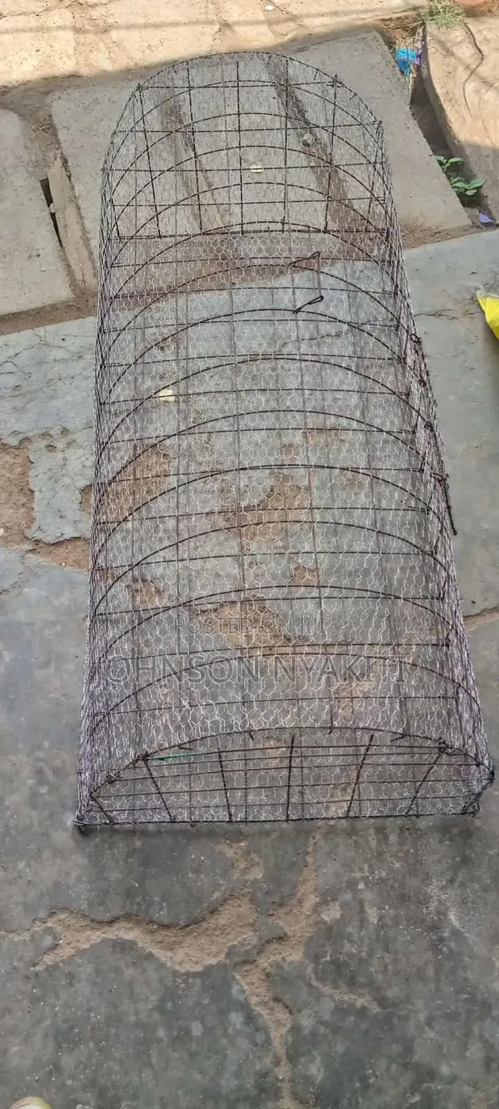 Chicken Cages