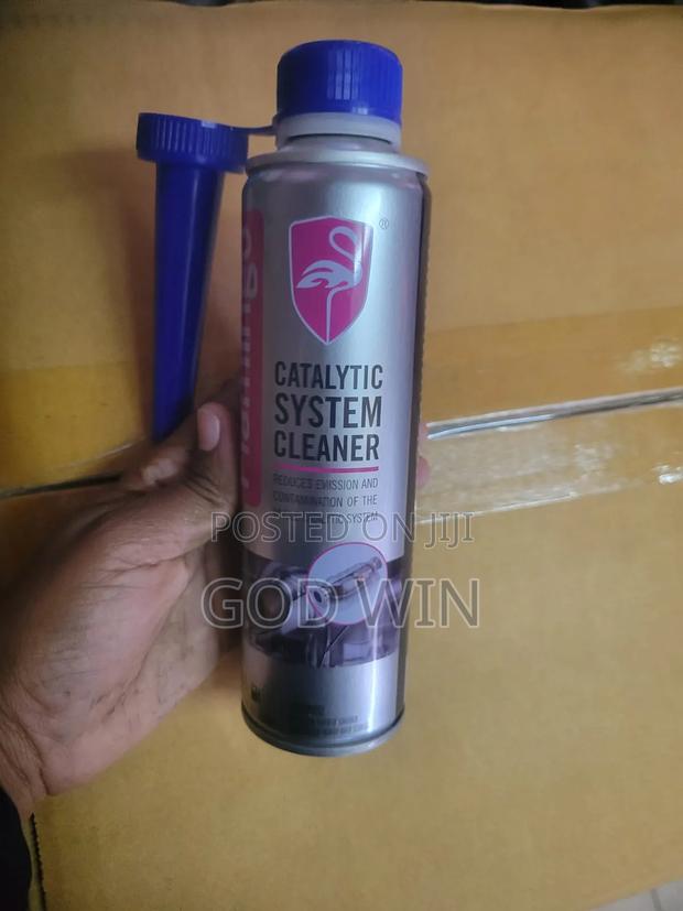 System Cleaner Catalytic - main view