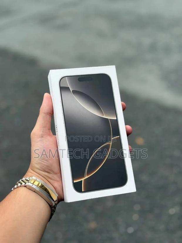 Apple iPhone 16 Pro Max 256 GB Silver - main view