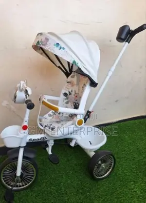 Tricycle With Push Handle And. Canopy