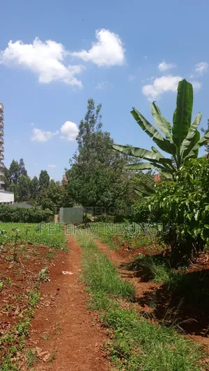Prime Land on Sale, Ruaka