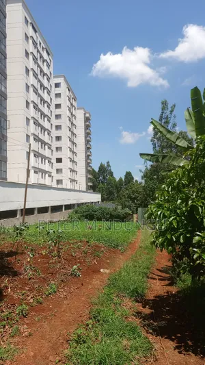Prime Land on Sale, Ruaka