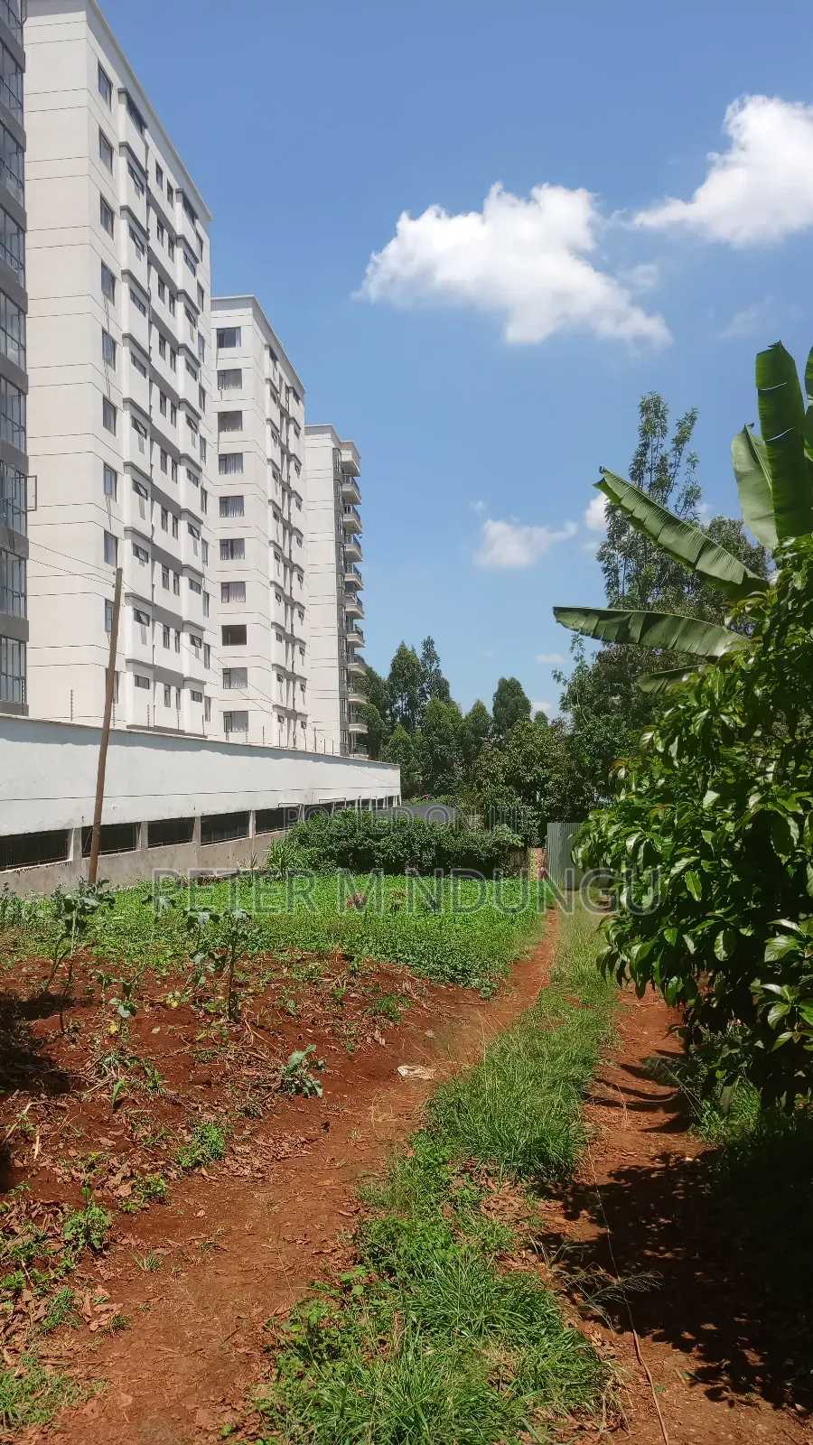 Prime Land on Sale, Ruaka
