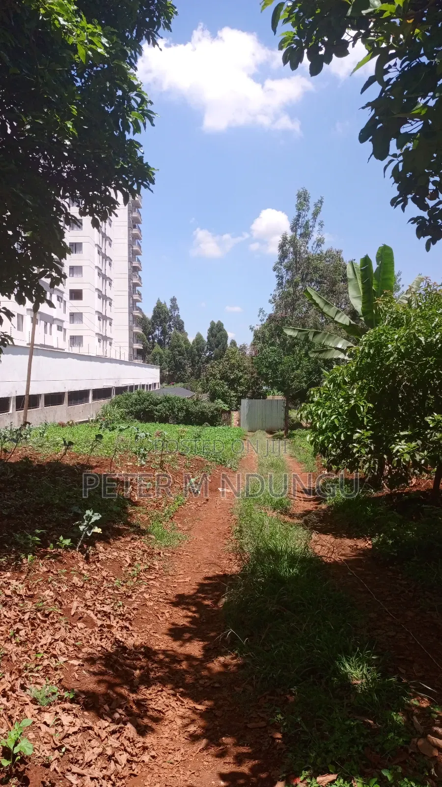Prime Land on Sale, Ruaka