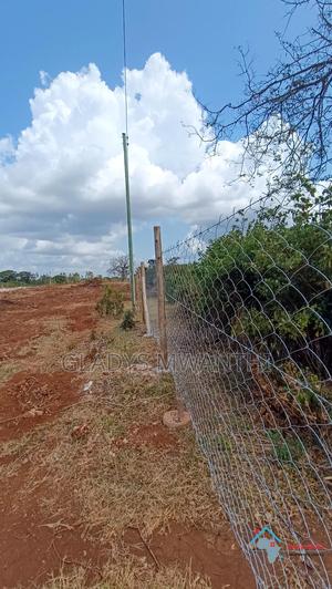 Primeplots - main view