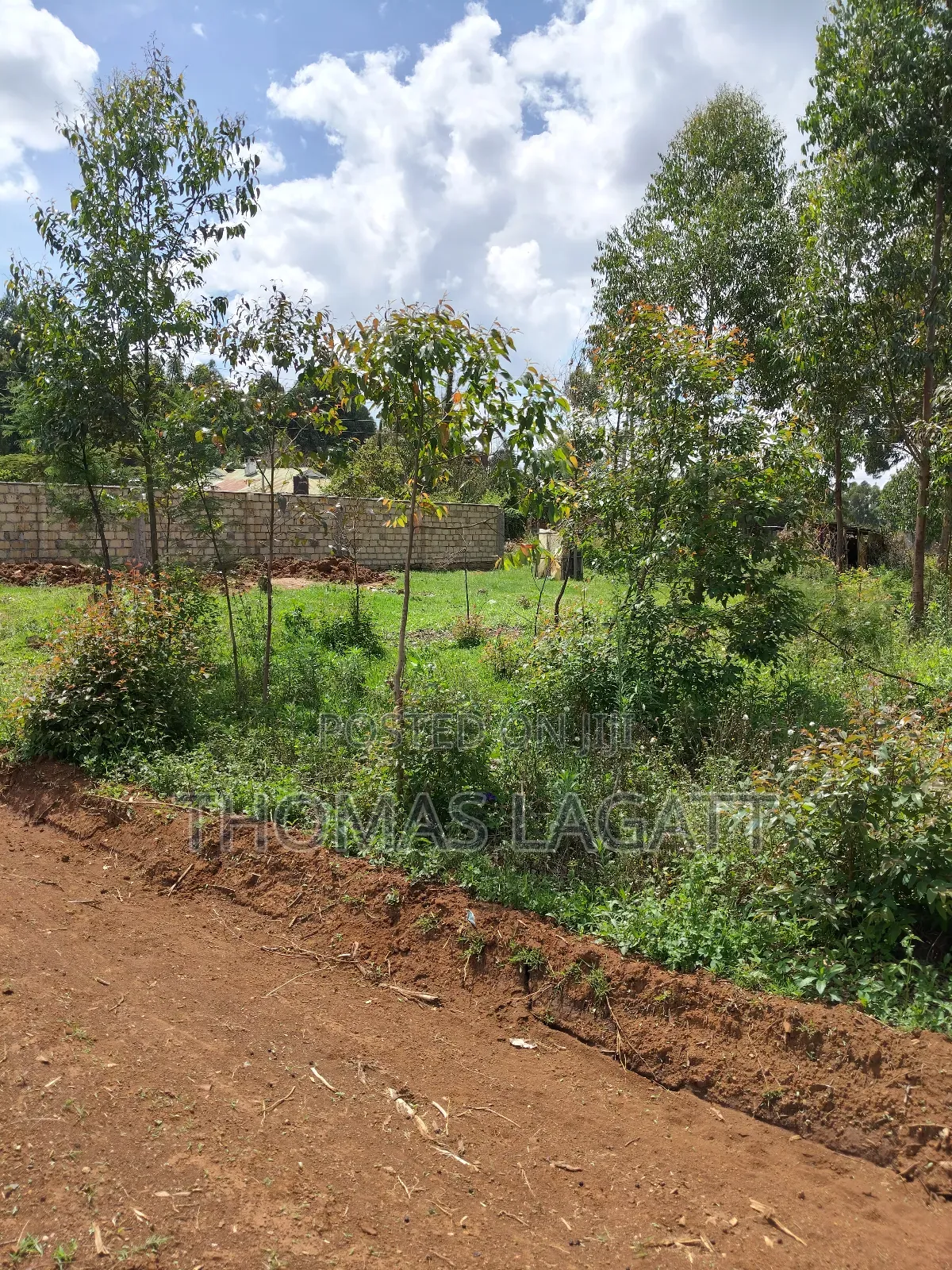 Prime 1⁄8 Acre Residential Plots on Sale in Eldoret Blossom