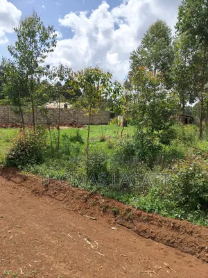 Prime 1⁄8 Acre Residential Plots on Sale in Eldoret Blossom