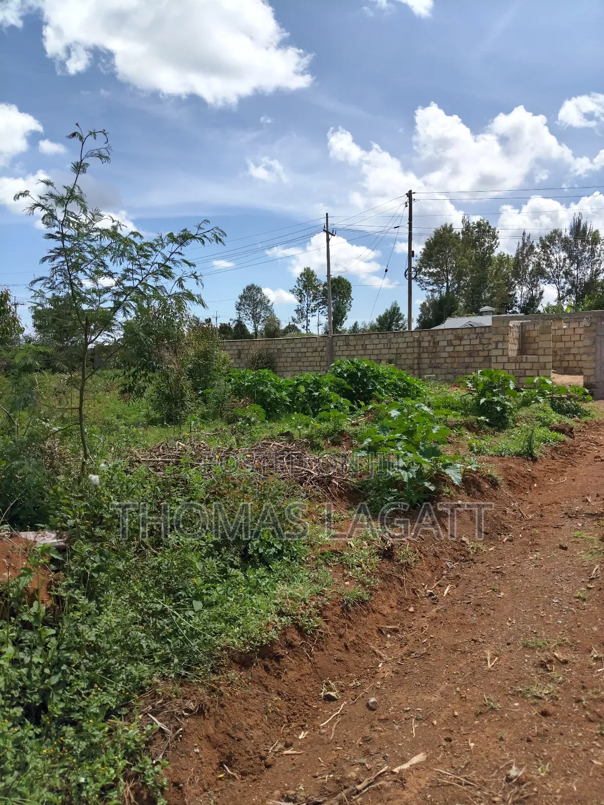 Prime 1⁄8 Acre Residential Plots on Sale in Eldoret Blossom