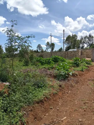 Prime 1⁄8 Acre Residential Plots on Sale in Eldoret Blossom