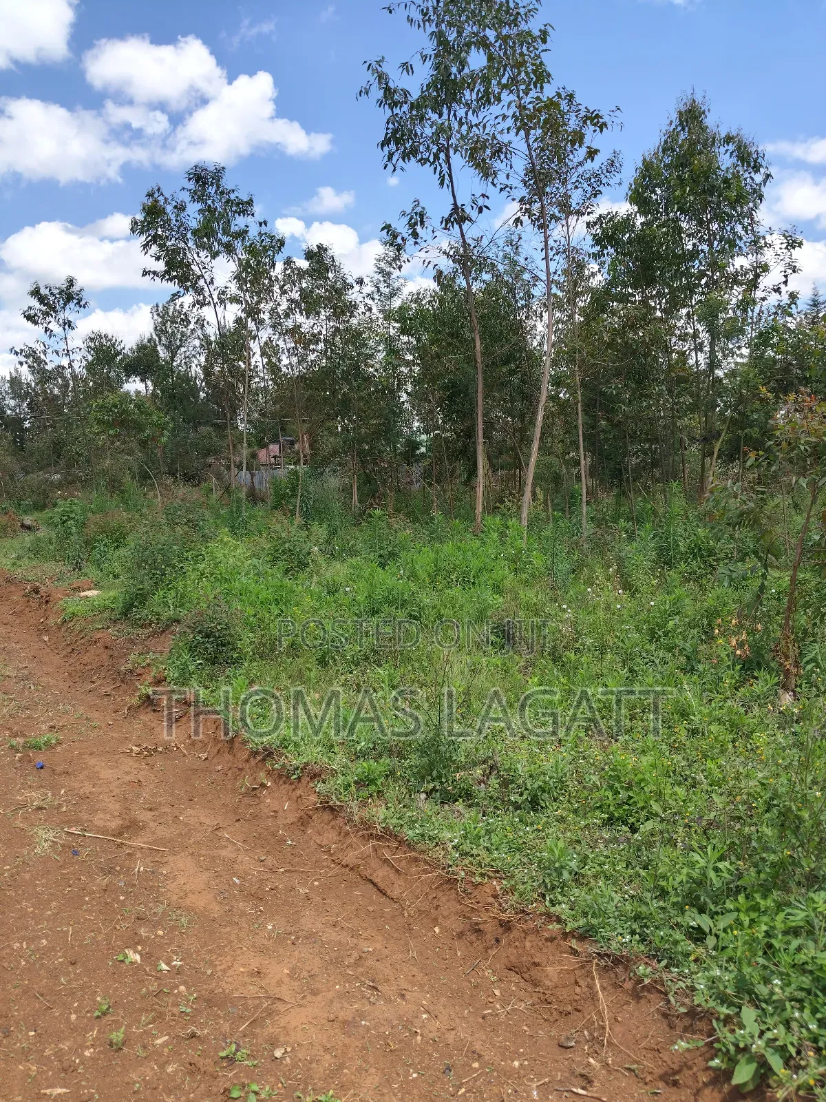 Prime 1⁄8 Acre Residential Plots on Sale in Eldoret Blossom